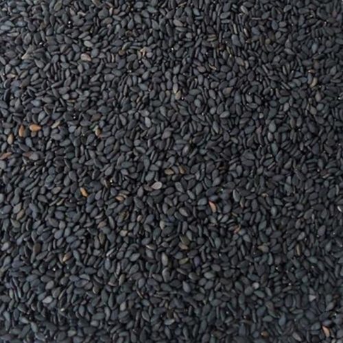 Black Sesame Seeds - B2B Bulk Purchase (30kg Bag)