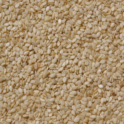 Kora Sesame Seeds - B2B Bulk Purchase (30kg Bag)