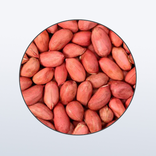 Raw Peanut - Bulk Purchase (50kg Bag)