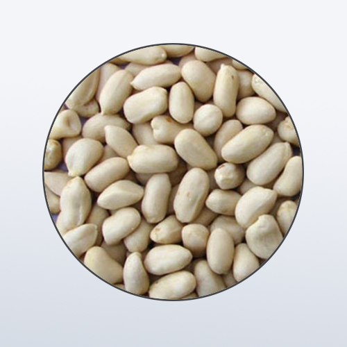 Roasted Peanut (Without Skin) - Bulk Purchase (25kg Vacuum Packing)